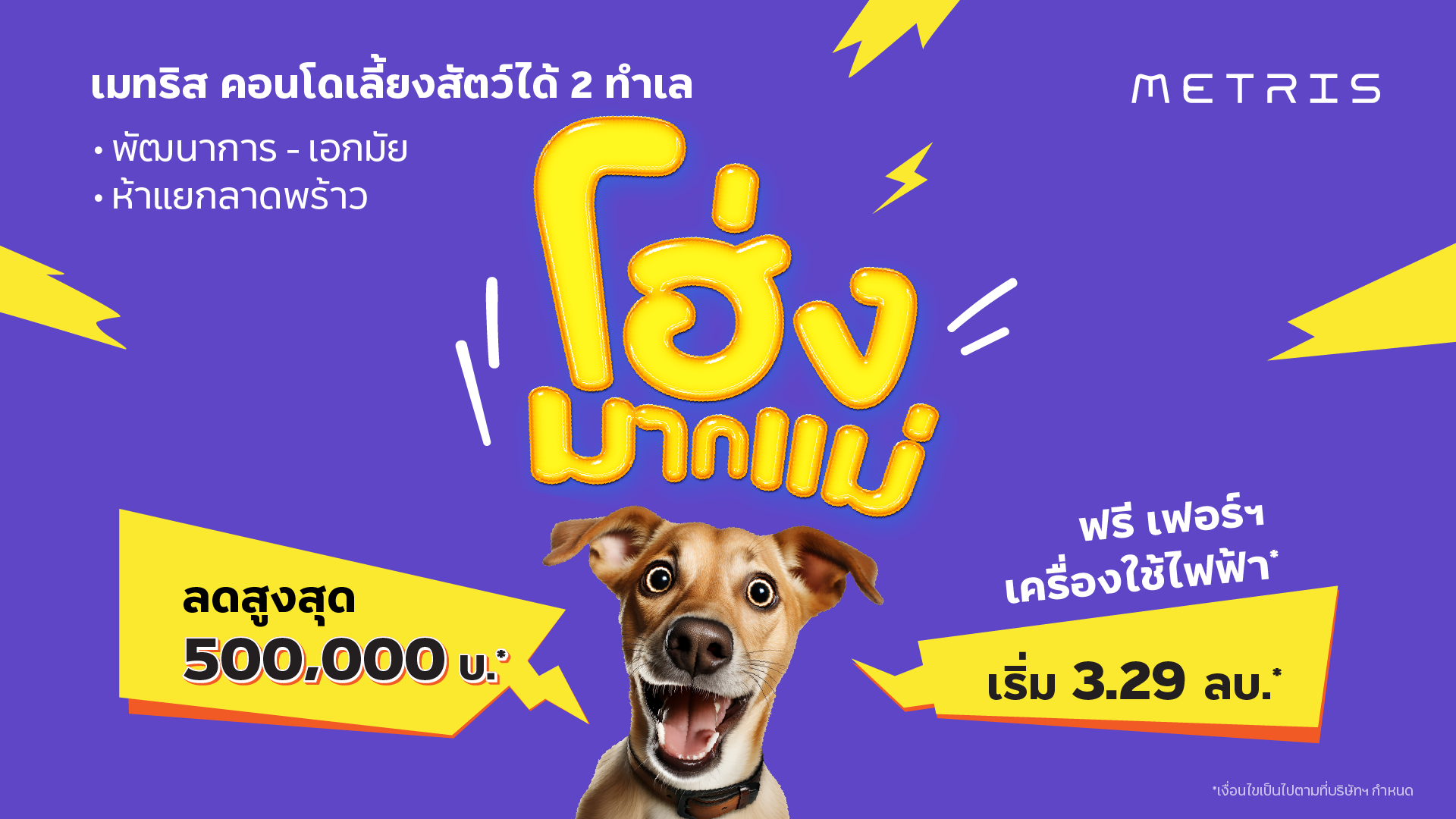 เมเจอร์ ดีเวลลอปเม้นท์ บัญญัติเดือนแห่งสัตว์เลี้ยง “INTERNATIONAL PET MONTH”