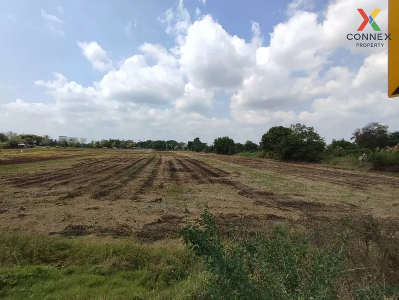 FOR SALE land , wide frontage , Bang Duea , Mueang Pathum Thani , Pathum Thani , CX-01009 1