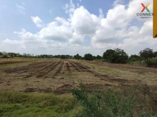 FOR SALE land , wide frontage , Bang Duea , Mueang Pathum Thani , Pathum Thani , CX-01009