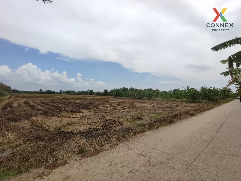 FOR SALE land , Thai Ban Mai , Bang Yai , Nonthaburi , CX-01015 2