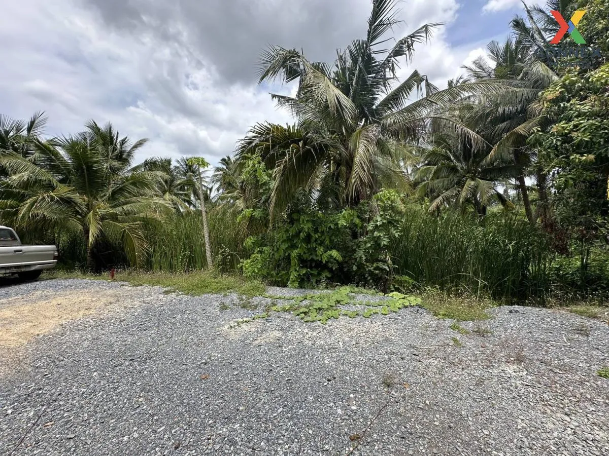 Empty land 283 sq m. Bang Waek, Phutthamonthon Sai 2, Bang Phai, Bang Khae District, Bangkok 2