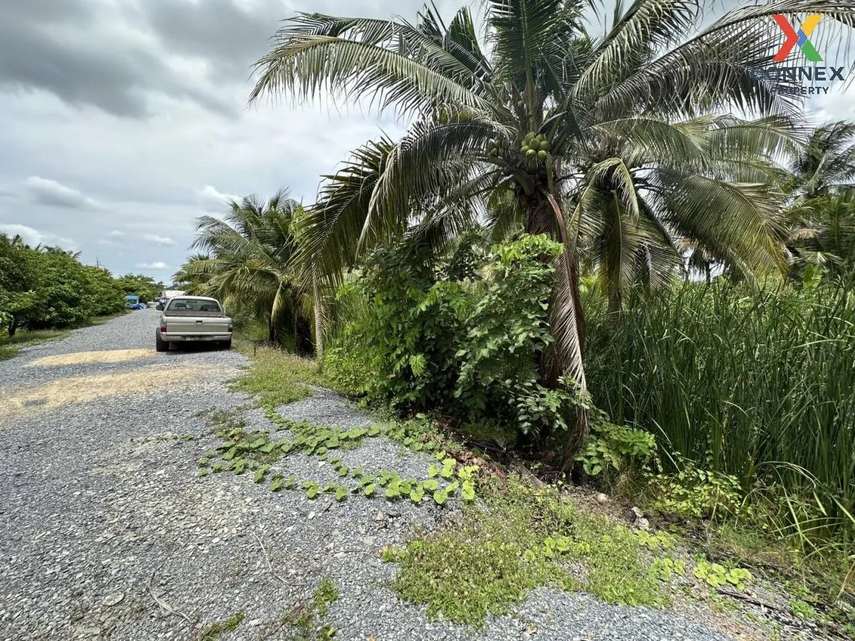 Empty land 283 sq m. Bang Waek, Phutthamonthon Sai 2, Bang Phai, Bang Khae District, Bangkok 3