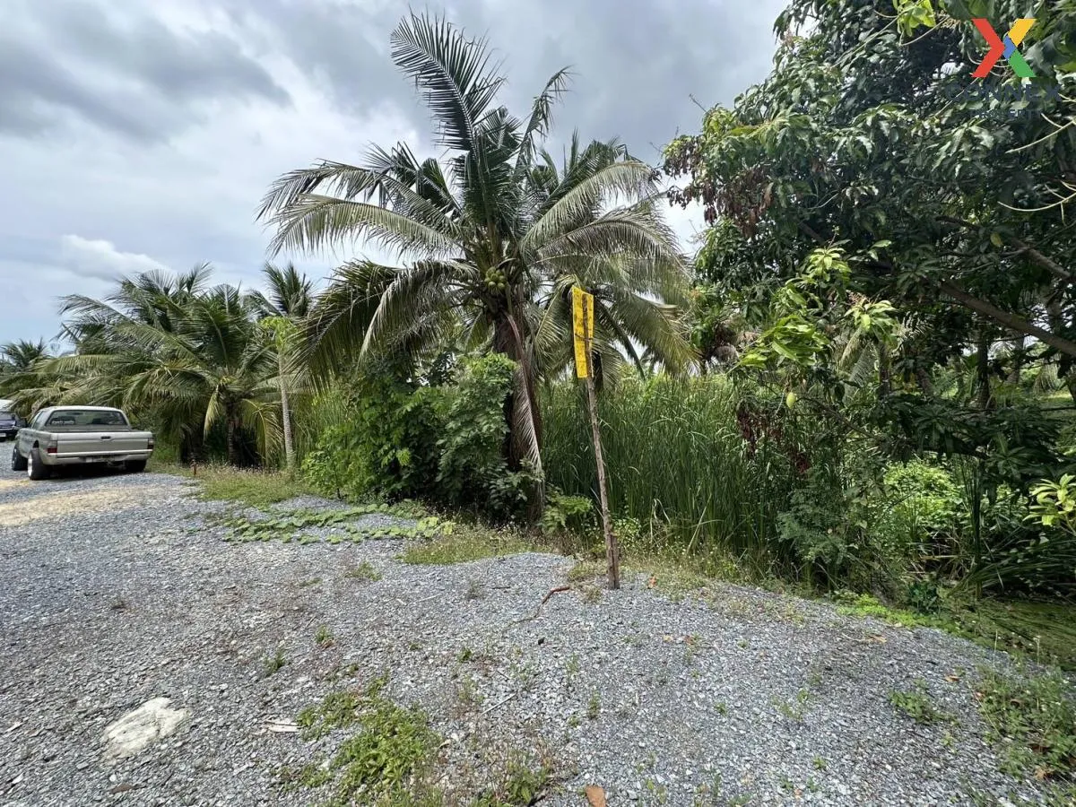 Empty land 283 sq m. Bang Waek, Phutthamonthon Sai 2, Bang Phai, Bang Khae District, Bangkok