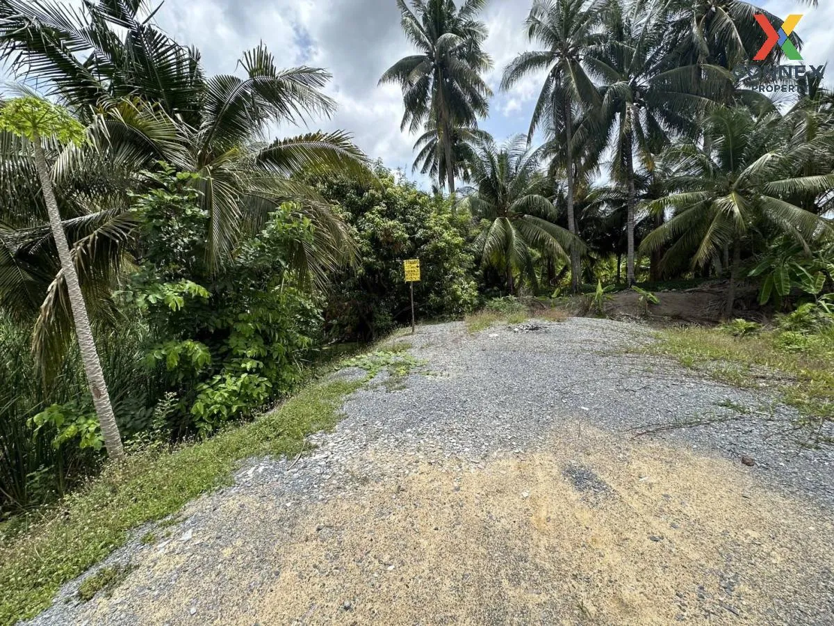 Empty land 283 sq m. Bang Waek, Phutthamonthon Sai 2, Bang Phai, Bang Khae District, Bangkok