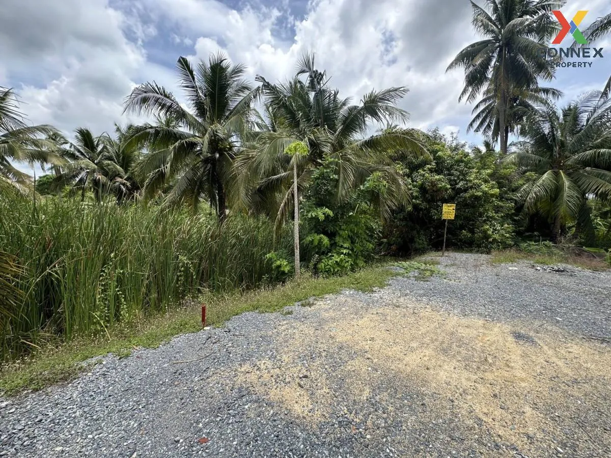 Empty land 283 sq m. Bang Waek, Phutthamonthon Sai 2, Bang Phai, Bang Khae District, Bangkok