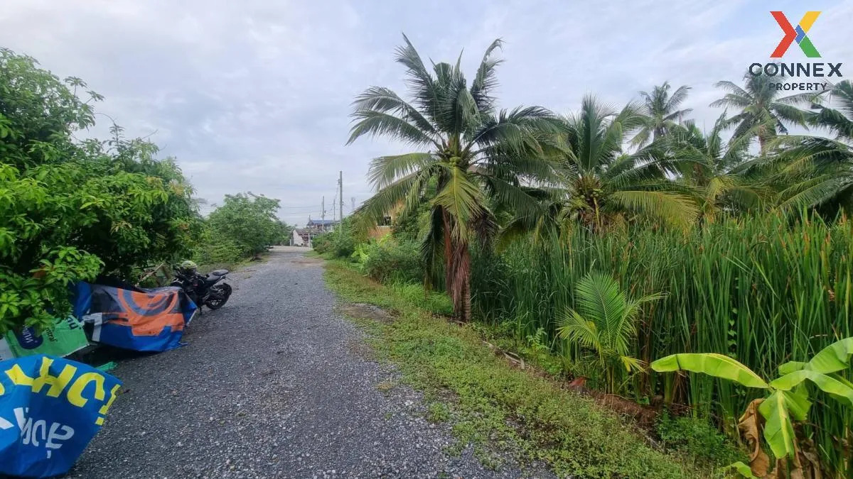 For Sale Empty land 2 rai, Bang Waek, Phutthamonthon Sai 2, Bang Phai, Bang Khae District, Bangkok. , nice view , Bang Phai , Bang Khae , Bangkok , CX-100224 4