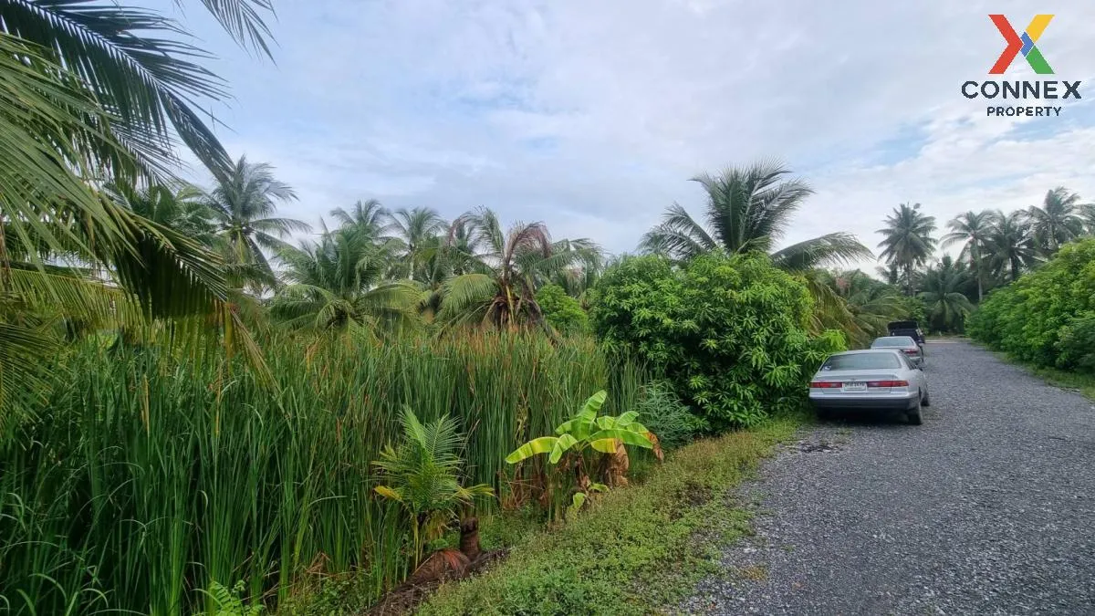 For Sale Empty land 2 rai, Bang Waek, Phutthamonthon Sai 2, Bang Phai, Bang Khae District, Bangkok. , nice view , Bang Phai , Bang Khae , Bangkok , CX-100224