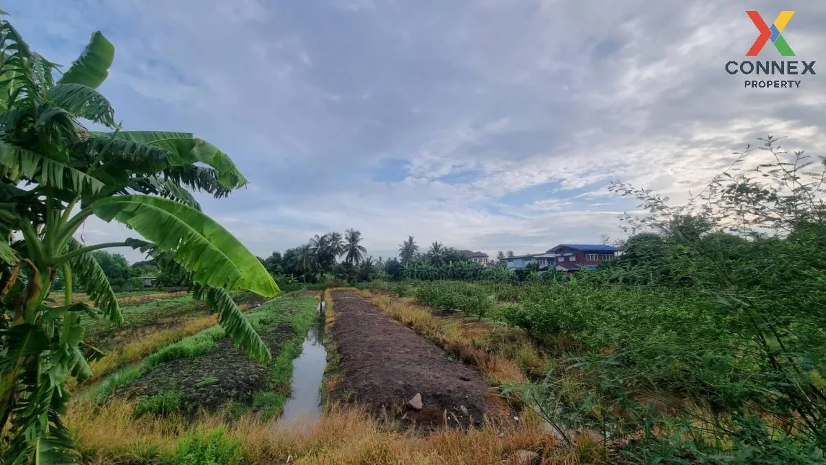 For Sale Empty land 2 rai, Bang Waek, Phutthamonthon Sai 2, Bang Phai, Bang Khae District, Bangkok. , nice view , Bang Phai , Bang Khae , Bangkok , CX-100224