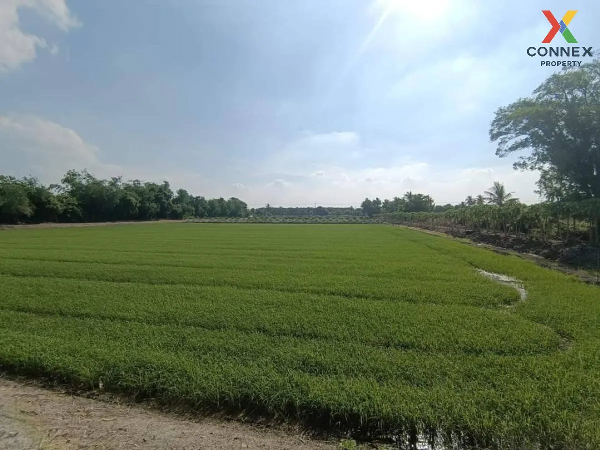 For Sale land for sale next to Nth Road 4005 , Bang Rakam , Bang Len , Nakhon Pathom , CX-100834 4