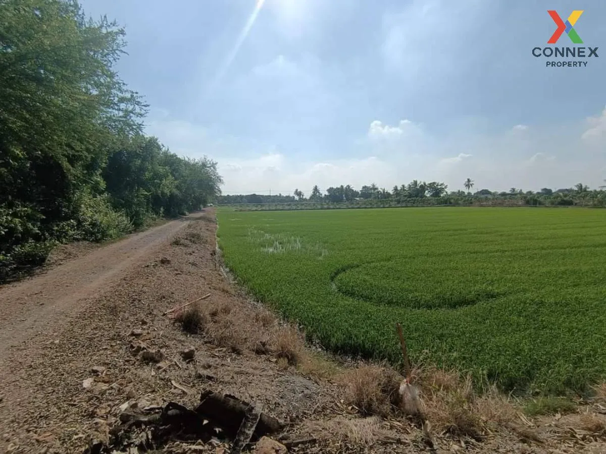 For Sale land for sale next to Nth Road 4005 , Bang Rakam , Bang Len , Nakhon Pathom , CX-100834