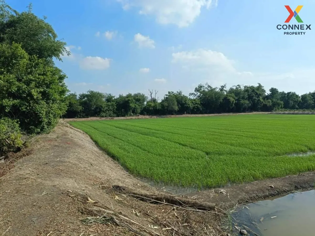 For Sale land for sale next to Nth Road 4005 , Bang Rakam , Bang Len , Nakhon Pathom , CX-100834