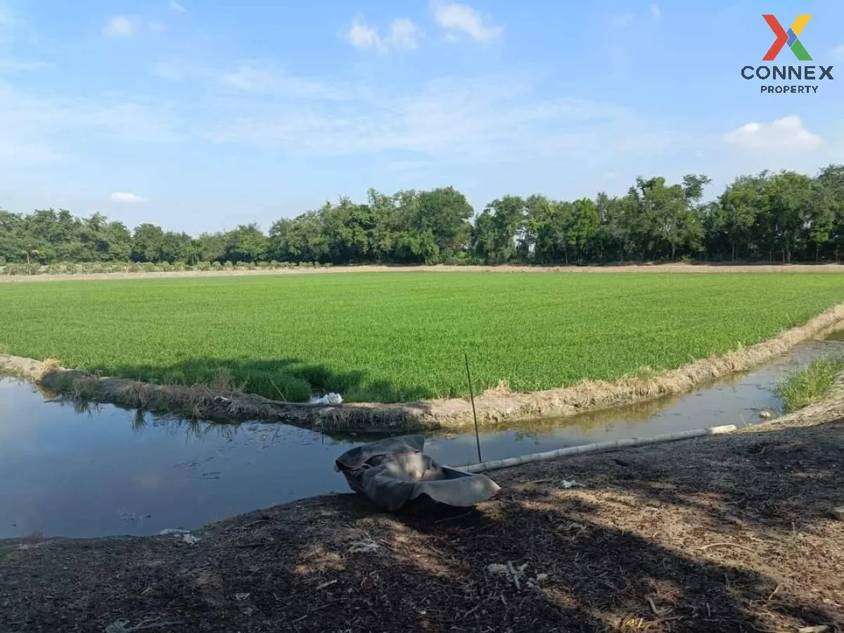 For Sale land for sale next to Nth Road 4005 , Bang Rakam , Bang Len , Nakhon Pathom , CX-100834