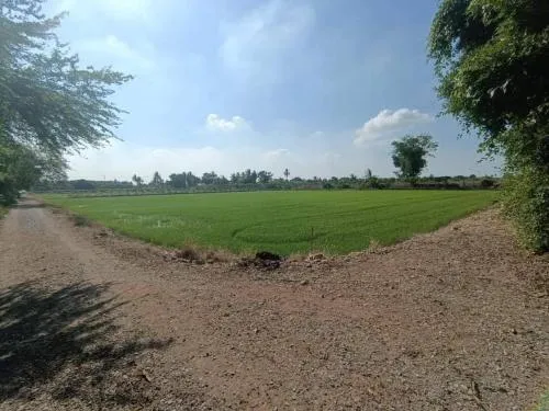 For Sale land for sale next to Nth Road 4005 , Bang Rakam , Bang Len , Nakhon Pathom , CX-100834