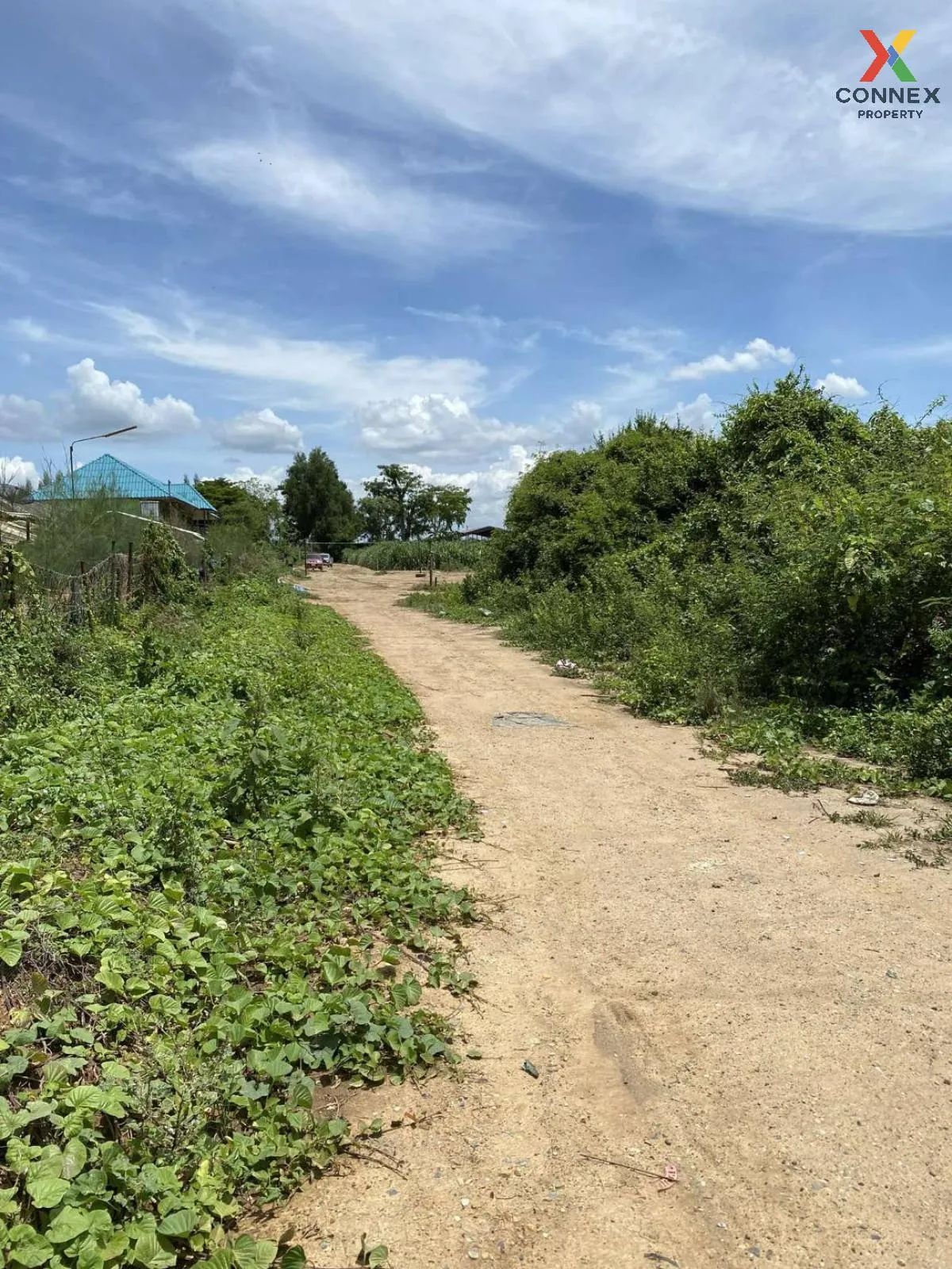 For Sale land 4 rai, Kamphaeng Saen , Thung Bua , Kamphaeng Saen , Nakhon Pathom , CX-101103 2