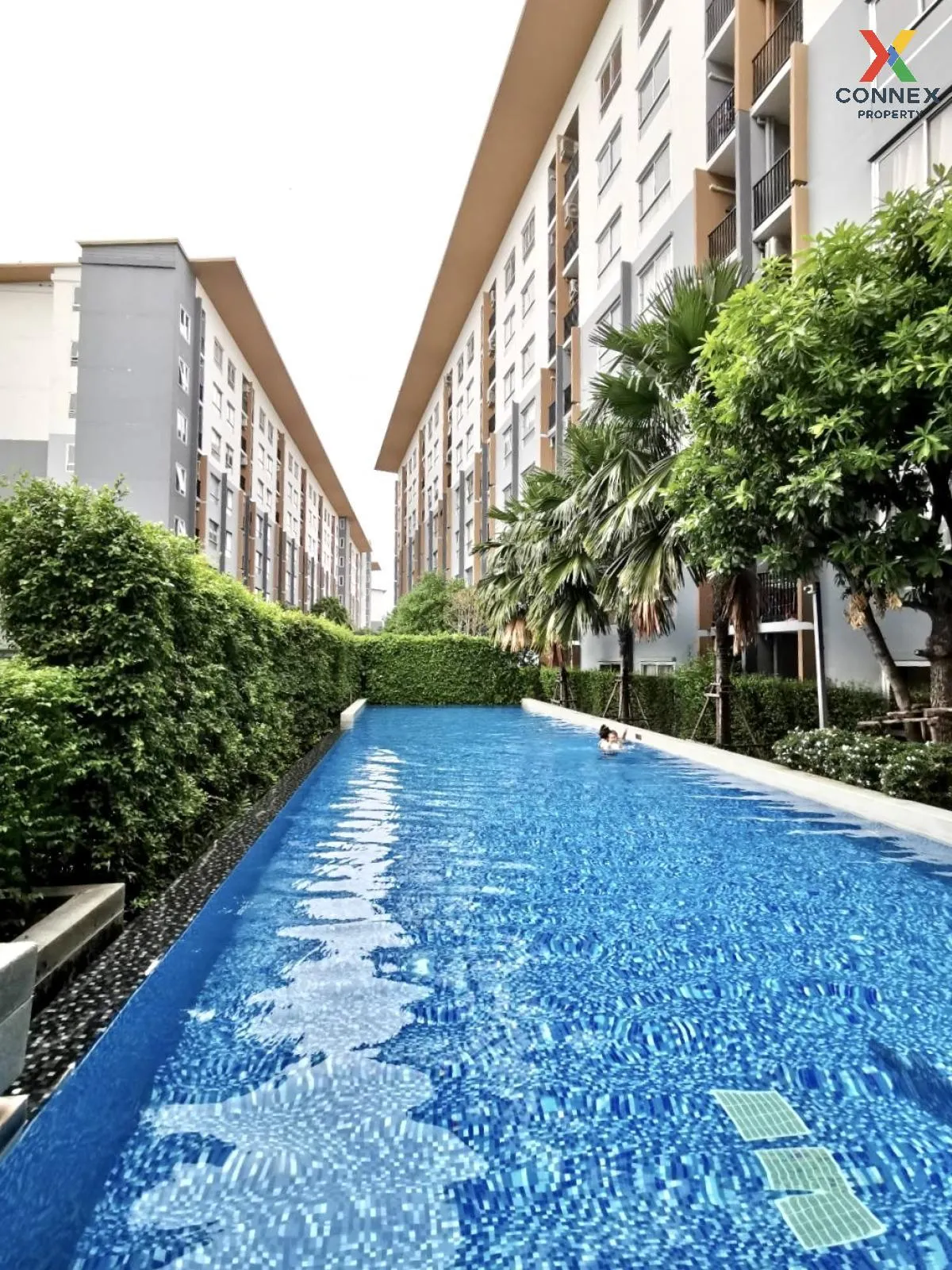 For Sale Condo , Plum Condo Bangyai Station , MRT-Khong Bang Phai , Bang Rak Phatthana , Bang Bua Thong , Nonthaburi , CX-101590