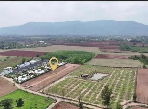 For Sale Land for sale in Khao Yai, Moo Si Subdistrict, Nakhon Ratchasima Province, size 4 rai 2 ngan 24 sq m. , nice view , wide frontage , Mu Si , Pak Chong , Nakhon Ratchasima , CX-102475