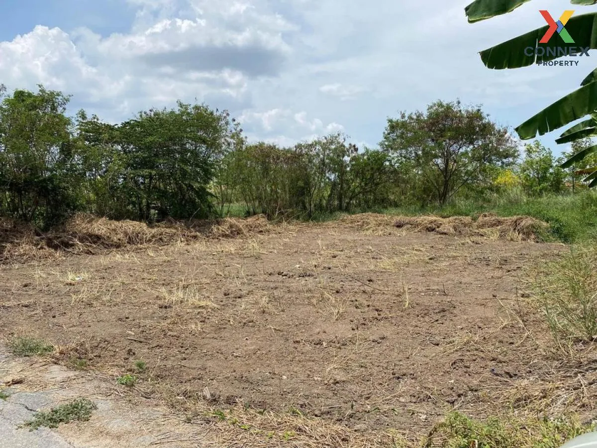 For Sale land Bang Muang - Bang Khu Lat Road , Bang Muang , Bang Yai , Nonthaburi , CX-104122 1