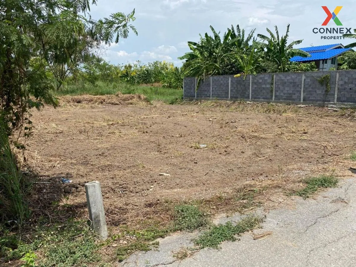 For Sale land Bang Muang - Bang Khu Lat Road , Bang Muang , Bang Yai , Nonthaburi , CX-104122 2