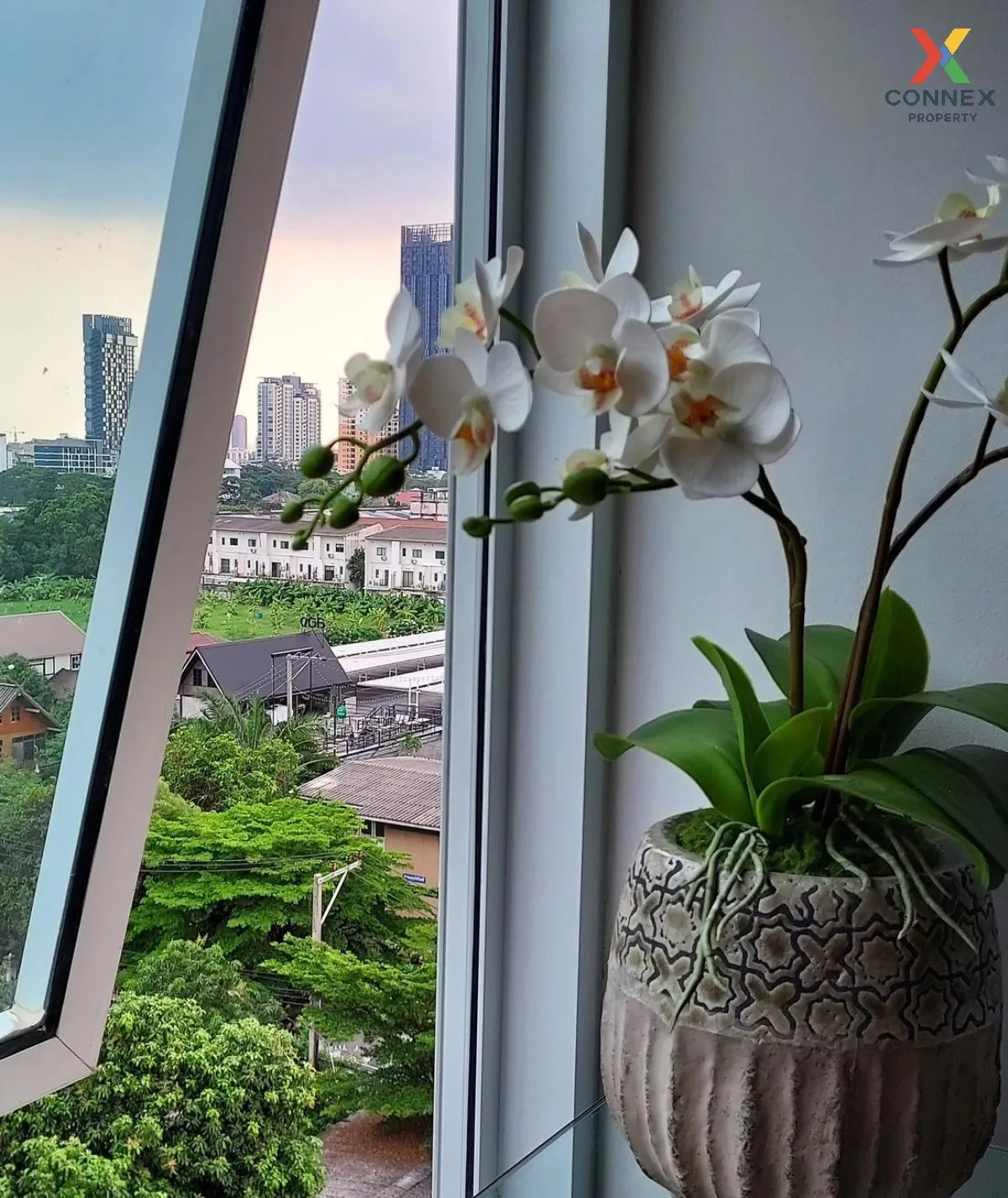 For Rent Condo , Regent Home Sukhumvit 97/1 , BTS-Bang Chak , Bang Chak , Phra Khanong , Bangkok , CX-104833