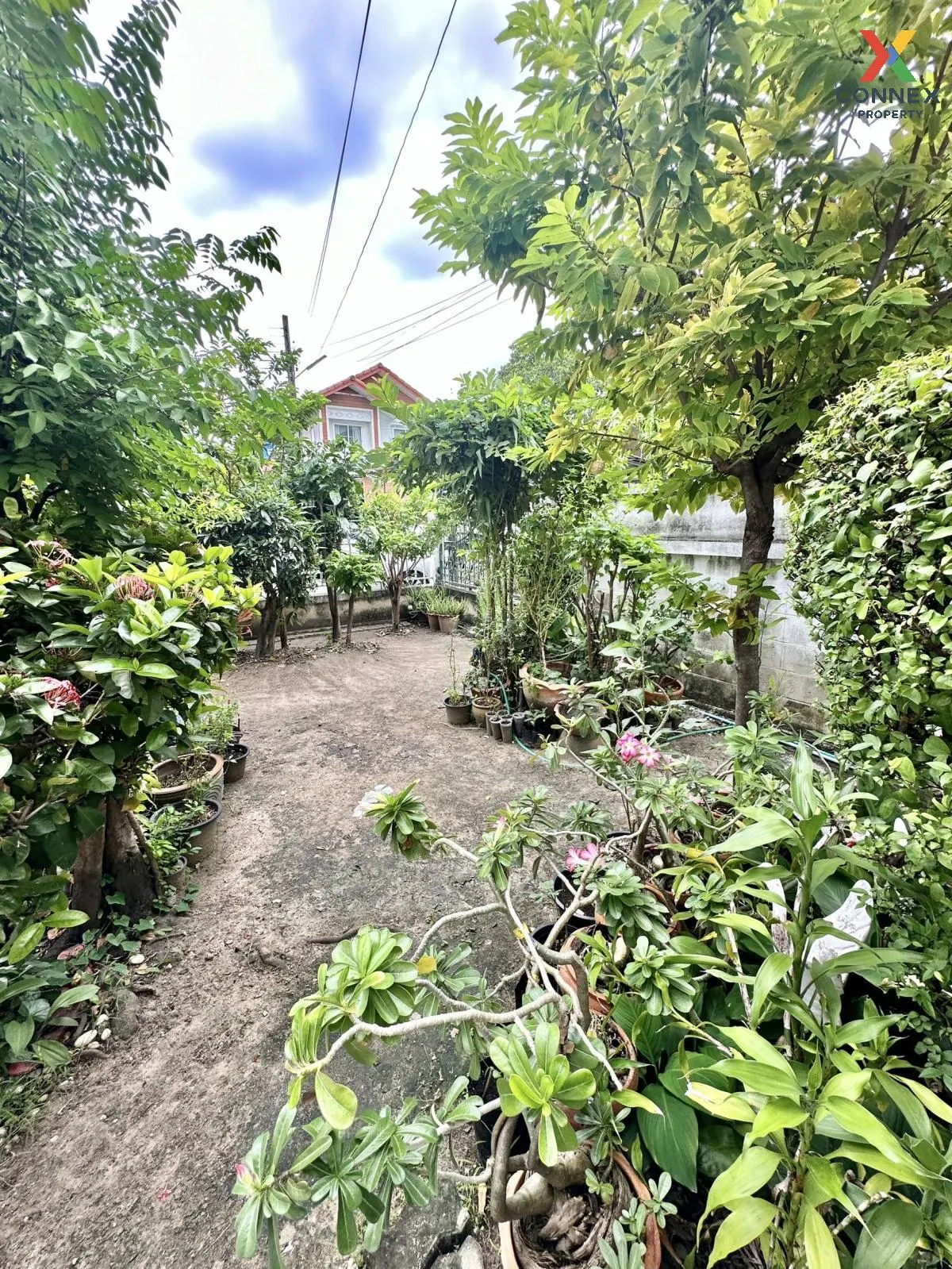 For Sale House , Sansabai Khubon 27 , Tha Raeng , Bang Khen , Bangkok , CX-105527