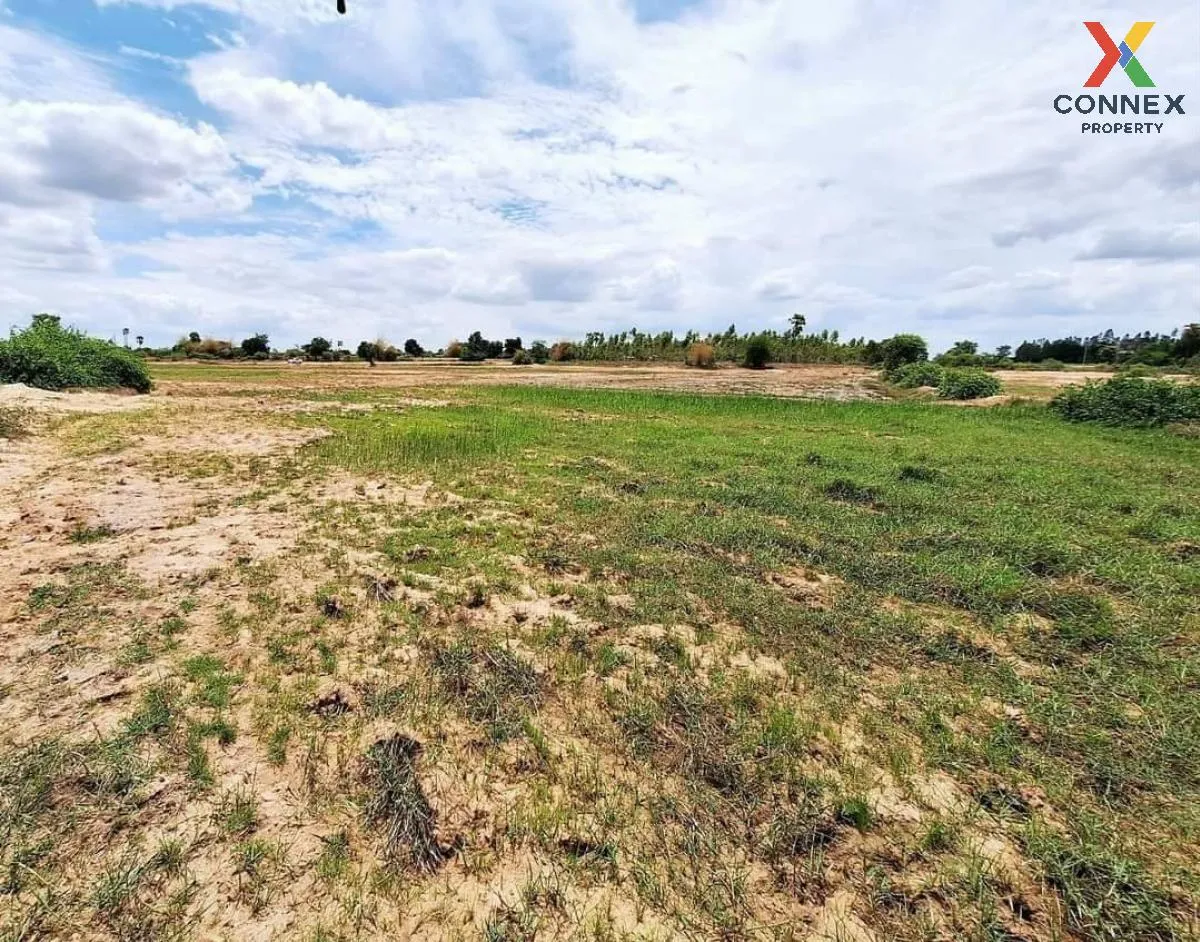 For Sale Land in Nakornratchasima , wide frontage , Ban Wang , Non Thai , Nakhon Ratchasima , CX-106379 1