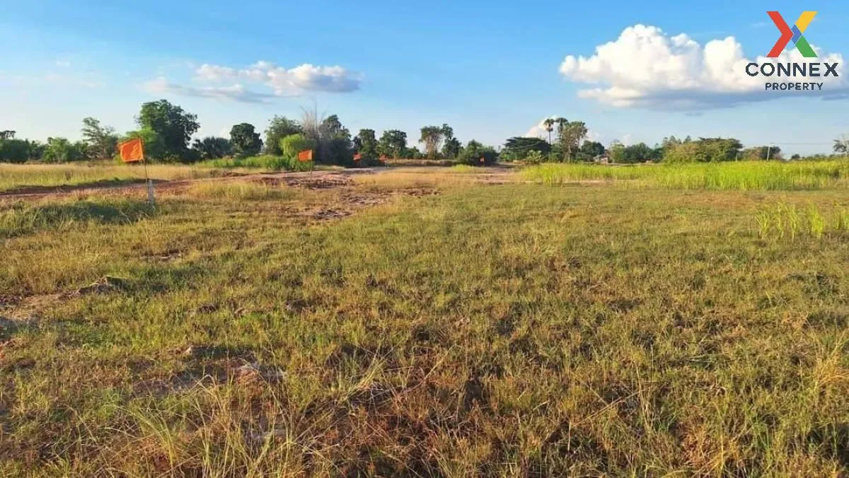 For Sale Land in Nakornratchasima , wide frontage , Ban Wang , Non Thai , Nakhon Ratchasima , CX-106379 4