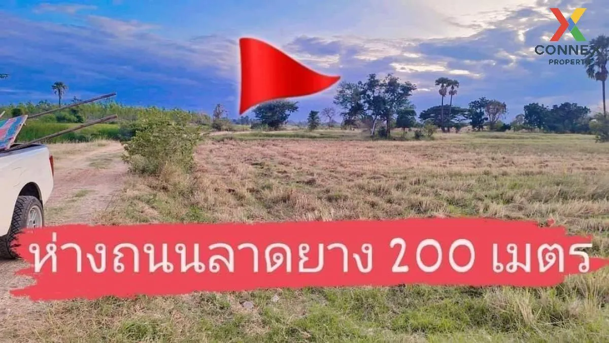 For Sale Land in Nakornratchasima , wide frontage , Ban Wang , Non Thai , Nakhon Ratchasima , CX-106379