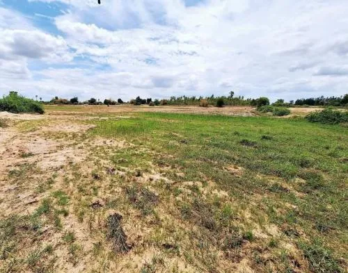 For Sale Land in Nakornratchasima , wide frontage , Ban Wang , Non Thai , Nakhon Ratchasima , CX-106379