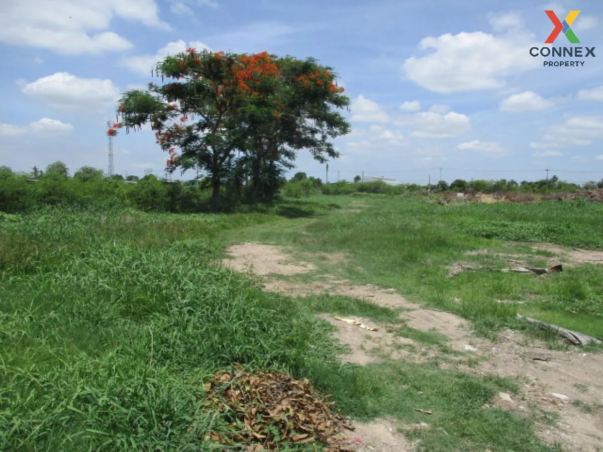 For Sale Land , Chuan Chuen Garden View Village , Bang Duea , Mueang Pathum Thani , Pathum Thani , CX-106646 4