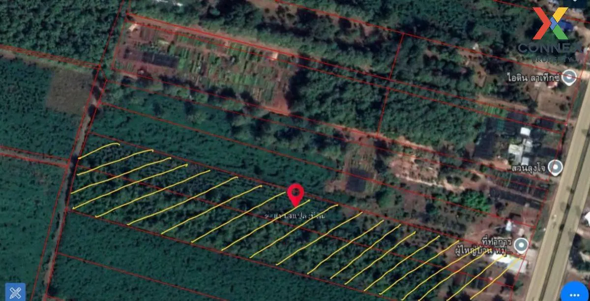 For Sale a building-ready land , Din Thong , Wang Thong , Phitsanulok , CX-107133 1