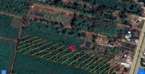 For Sale a building-ready land , Din Thong , Wang Thong , Phitsanulok , CX-107133