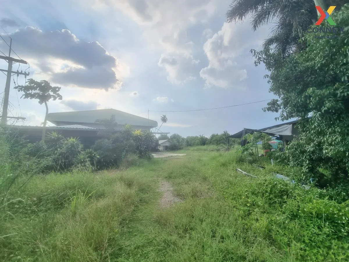 ขายที่ดินพร้อมสิ่งปลูกสร้างพนมสารคามฉะเชิงเทรา บ้านซ่อง พนมสารคาม ฉะเชิงเทรา CX-107160