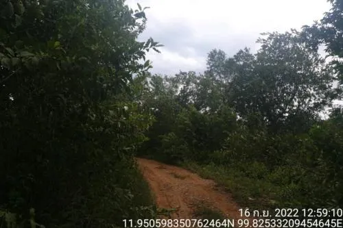 For Sale Vacant land, Prachuap Khiri Khan Province, 1 plot , Bo Nok , Mueang Prachuap Khiri Khan , Prachuap Khiri Khan , CX-108771