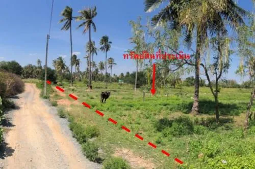 For Sale Vacant land on Phetkasem Road, Bon Nok Subdistrict , Bo Nok , Mueang Prachuap Khiri Khan , Prachuap Khiri Khan , CX-108793