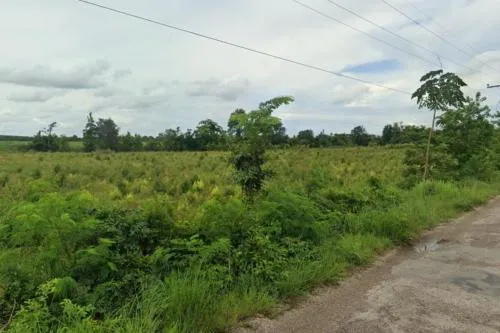 For Sale Empty land, Ban Non-Nong Yai (SorKor.4012) , Phak Kha , Watthana Nakhon , Sa kaeo , CX-108910