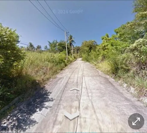 For Sale Land for Sale ,Samui,Suratthani , Ang Thong , Ko Samui , Surat Thani , CX-109284