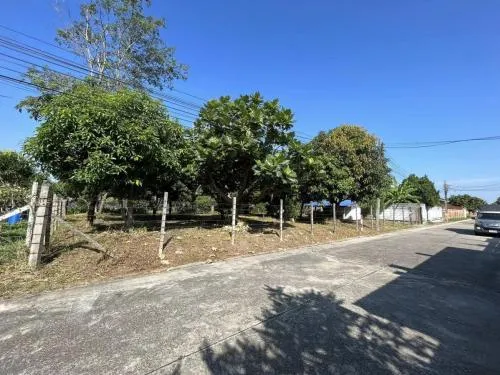 For Sale Filled land, Phutthamonthon Sai 3 Road. , Thawi Watthana , Thawi Watthana , Bangkok , CX-109421