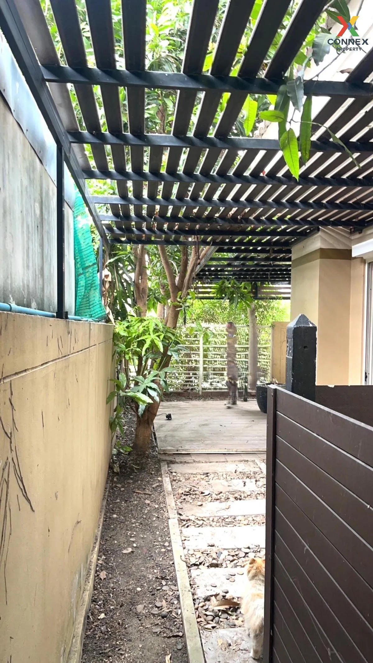 For Sale House , baan chiva 1 , Lum Din , Mueang Ratchaburi , Ratchaburi , CX-109593 2