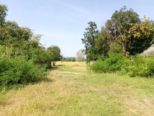 For Sale Vacant land Padmanon Road Soi 10 , Rop Mueang , Mueang Roi Et , Roi Et , CX-110602