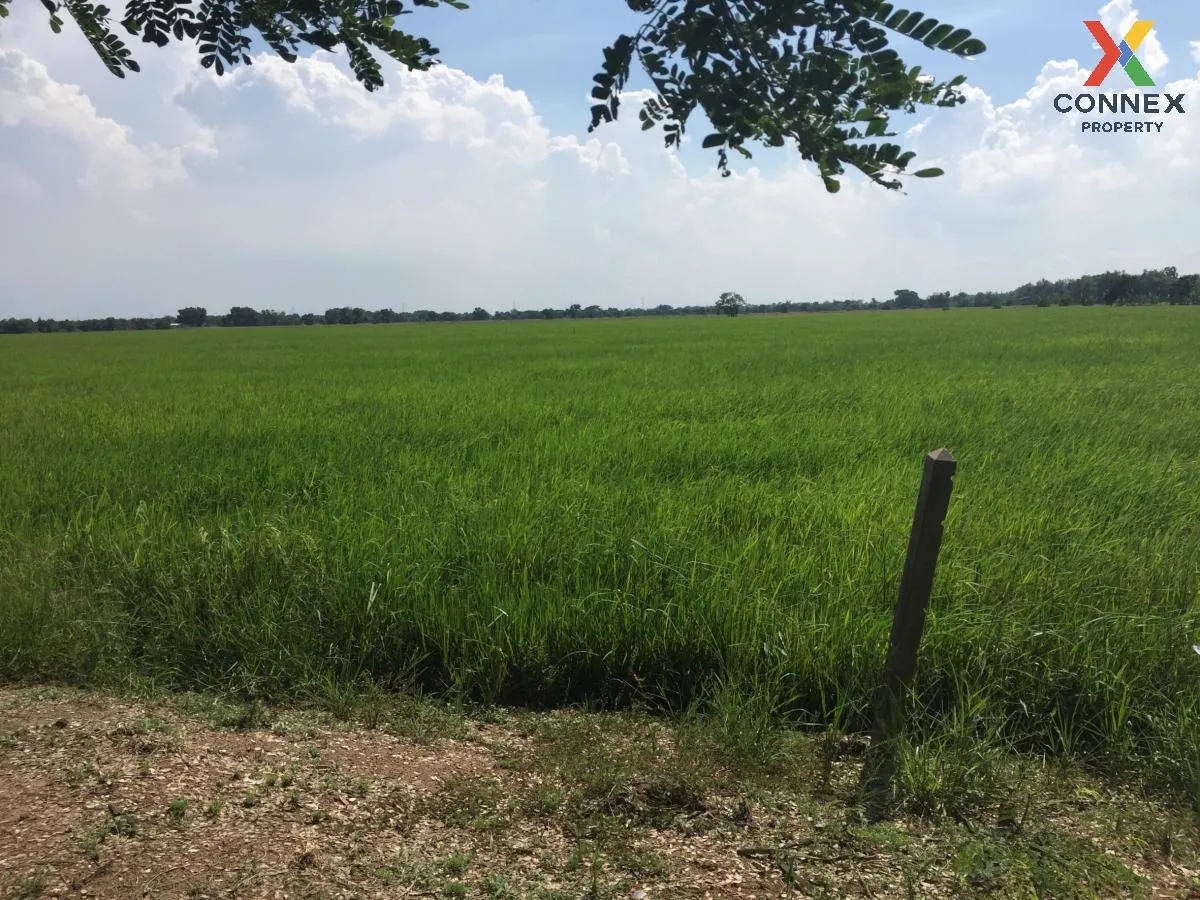 For Rent land  61 rai of Saraburi , Nong Khaem , Nong Khae , Saraburi , CX-111502 1