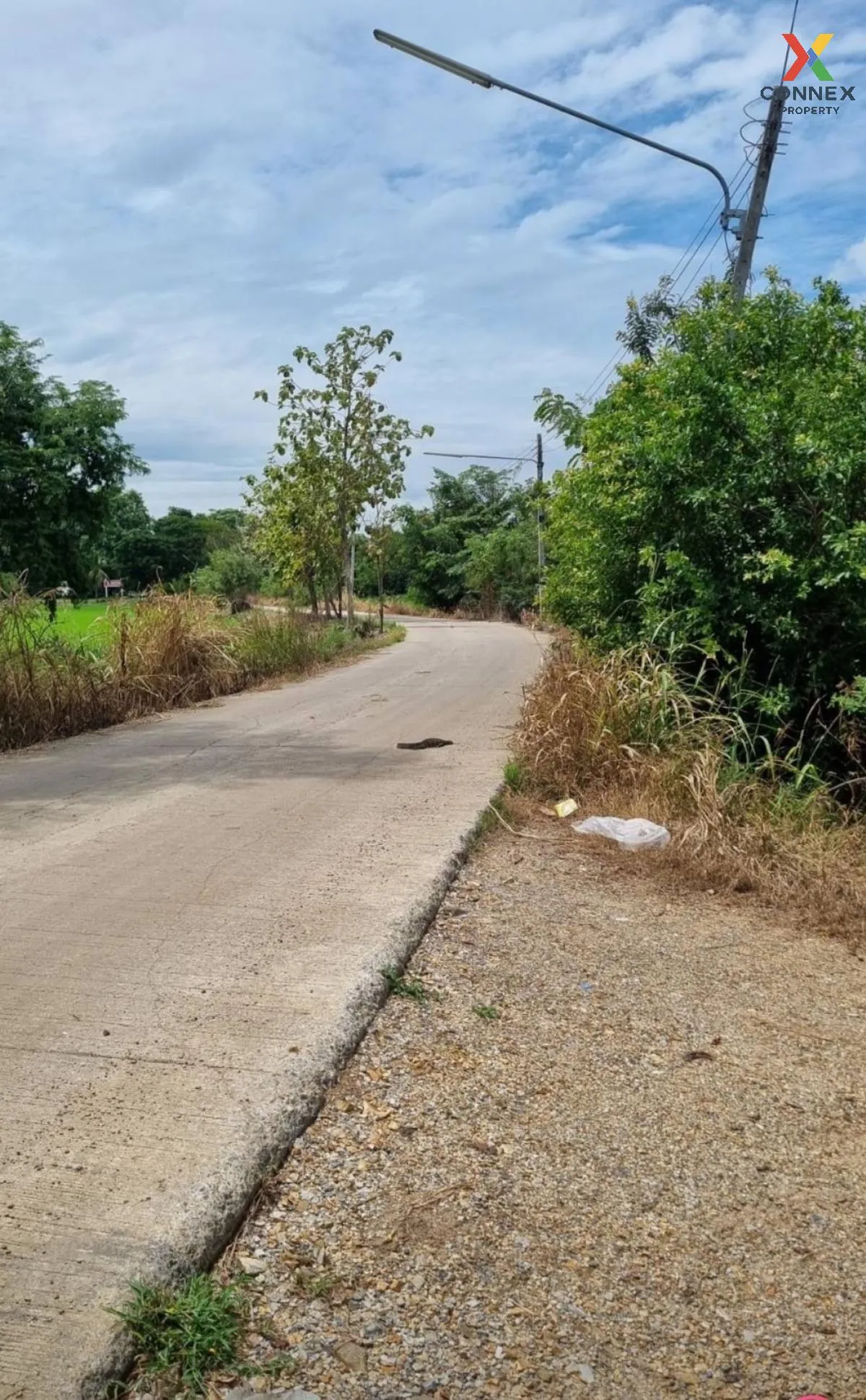 For Rent land  61 rai of Saraburi , Nong Khaem , Nong Khae , Saraburi , CX-111502