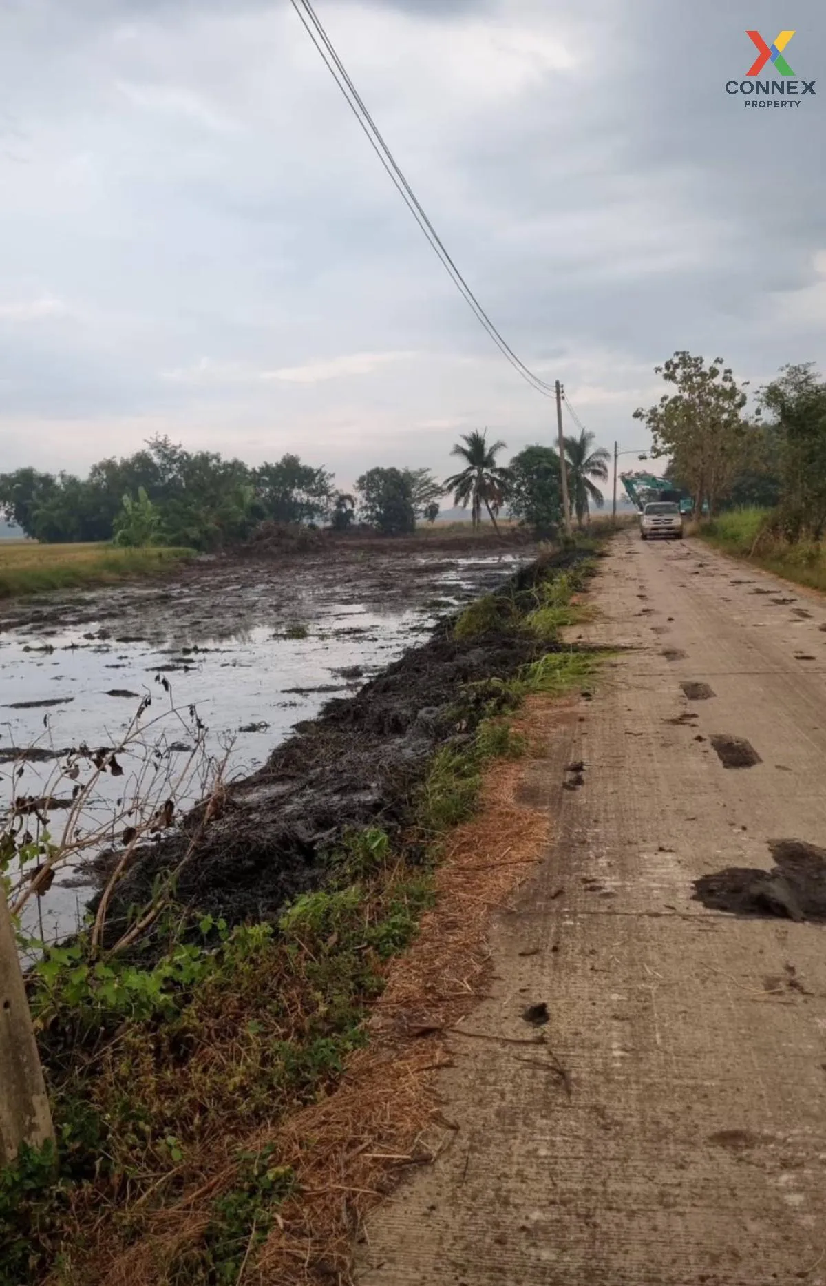 For Rent land  61 rai of Saraburi , Nong Khaem , Nong Khae , Saraburi , CX-111502