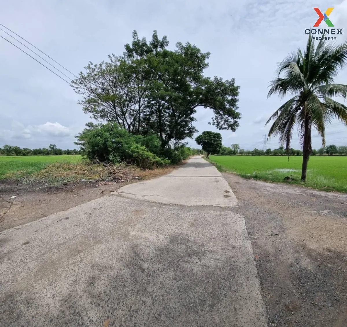 For Rent land  61 rai of Saraburi , Nong Khaem , Nong Khae , Saraburi , CX-111502