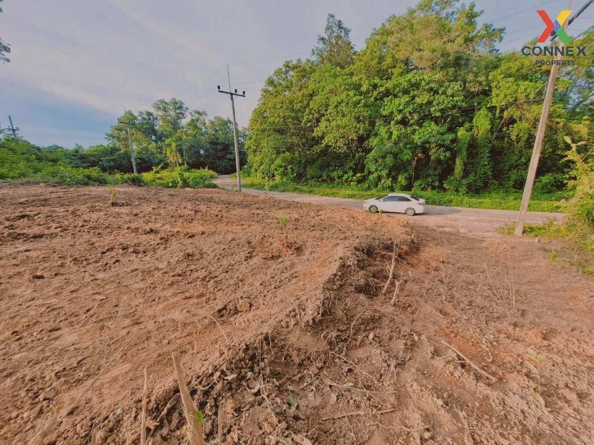 For Sale Empty land for sale on Koh Sirey , Ratsada , Mueang Phuket , Phuket , CX-111623 3