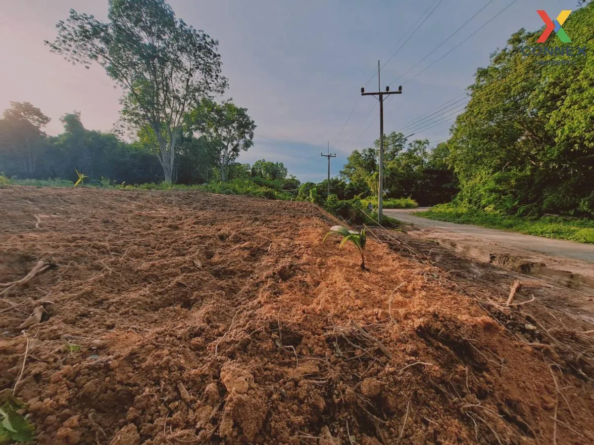 For Sale Empty land for sale on Koh Sirey , Ratsada , Mueang Phuket , Phuket , CX-111623