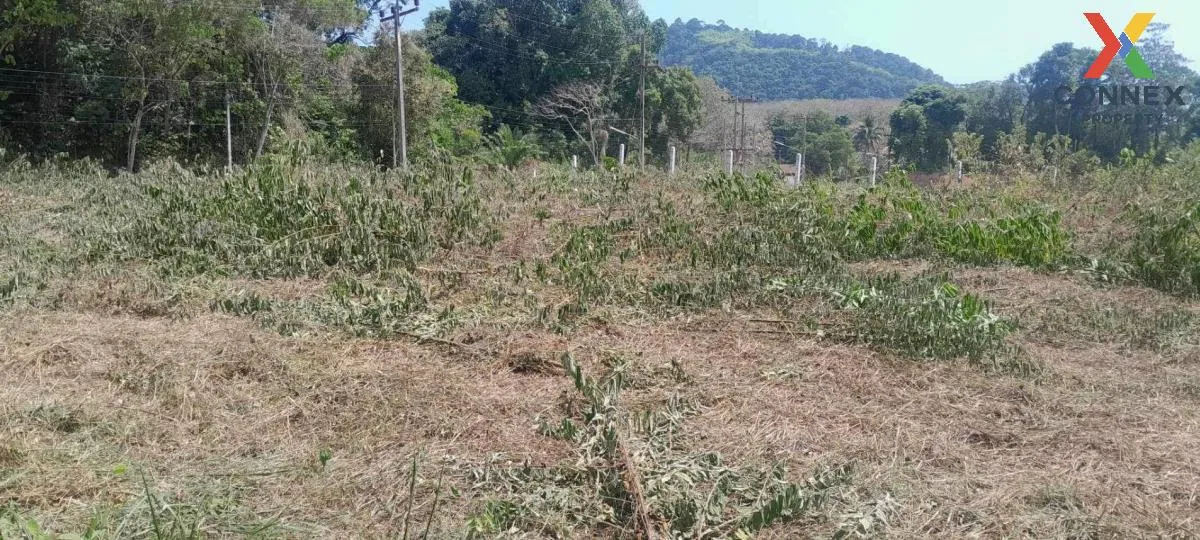 For Sale Empty land for sale on Koh Sirey , Ratsada , Mueang Phuket , Phuket , CX-111623