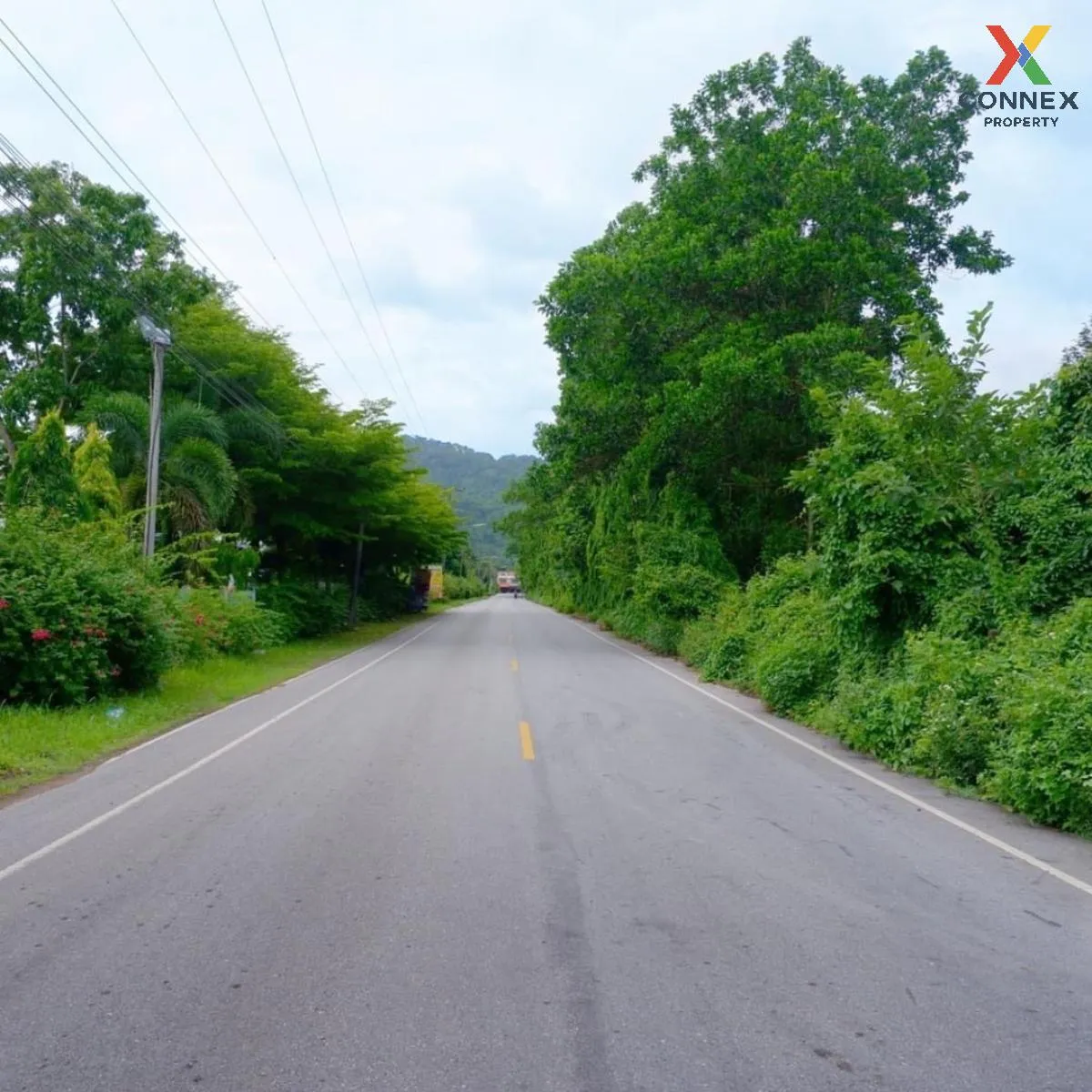 For Sale  Land 6 rai 39 sqm Chanthaburi - Sa Kaeo , Makham , Makham , Chanthaburi , CX-111656