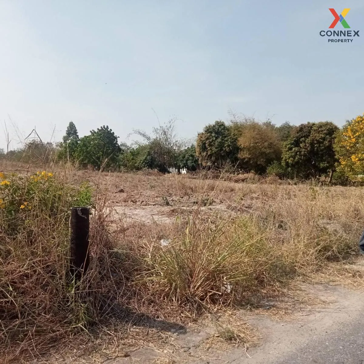 For Sale 2 rai of land, Ban Bueng, Chonburi , Nong I Run , Ban Bu 1