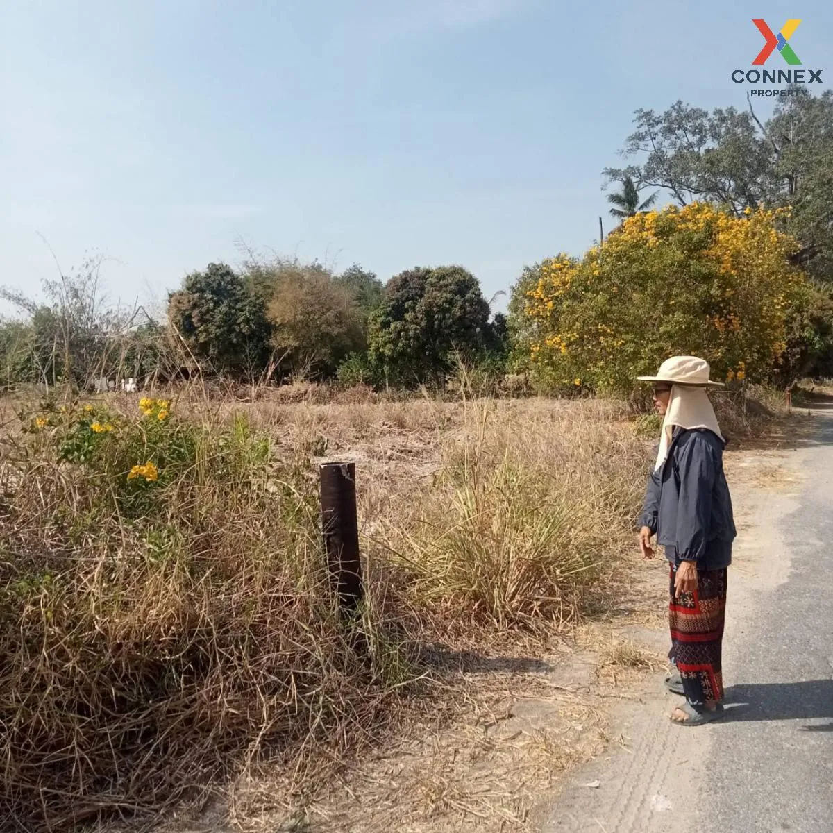 For Sale 2 rai of land, Ban Bueng, Chonburi , Nong I Run , Ban Bu 2