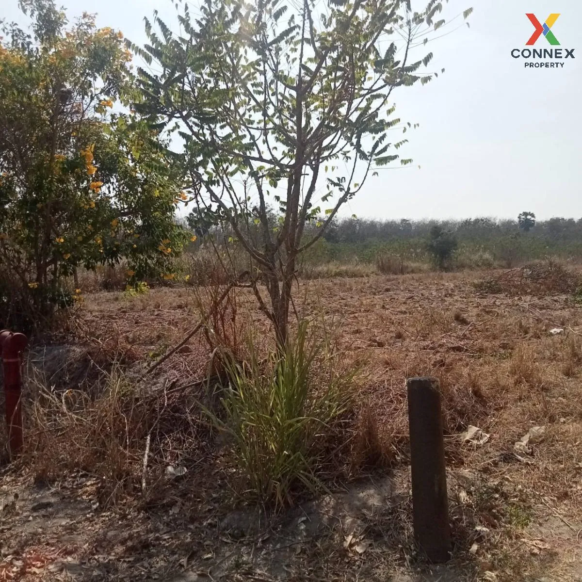 For Sale 2 rai of land, Ban Bueng, Chonburi , Nong I Run , Ban Bu 3